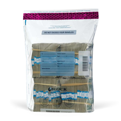 Cash Security Bag